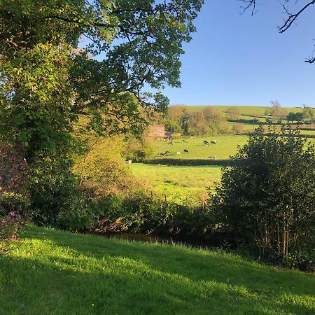Bed and Breakfast Bow Mill Farm Totnes Exterior foto
