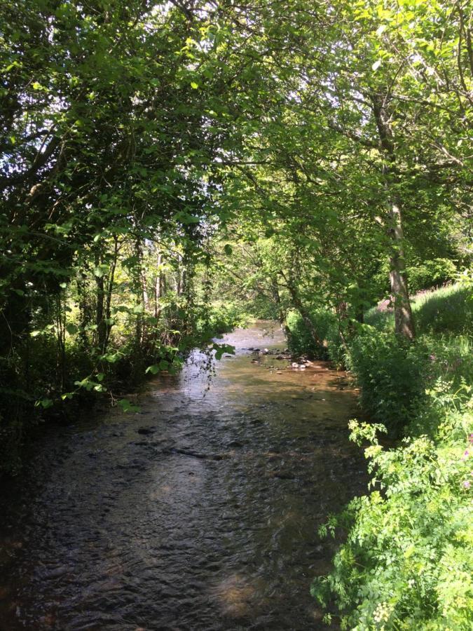 Bed and Breakfast Bow Mill Farm Totnes Exterior foto