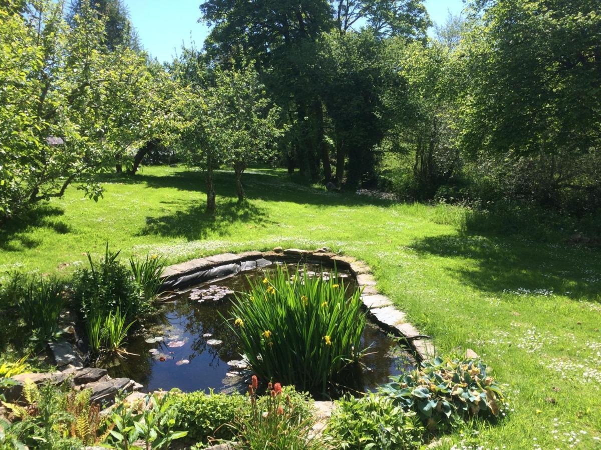 Bed and Breakfast Bow Mill Farm Totnes Exterior foto